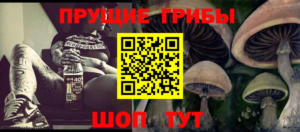 Псилоцибиновые грибы GOLDEN TEACHER  Вход с VPN  Псилоцибиновые грибы ЛСД  где можно купить наркотик  Ишимбай 