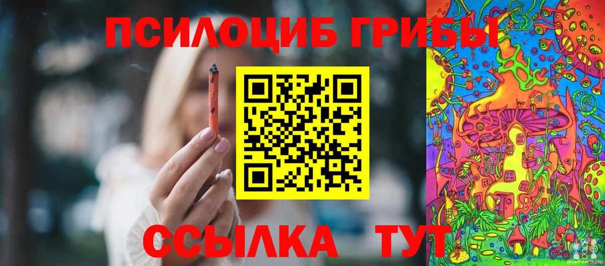 Псилоцибиновые грибы Cubensis  Ишимбай  Галлюциногенные грибы мицелий 